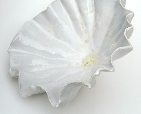 Glazed White Clam by Carol Bonney
